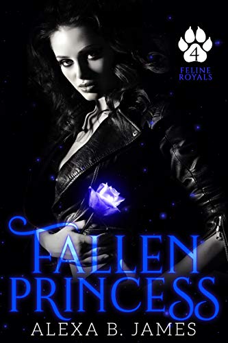 Fallen Princess book cover