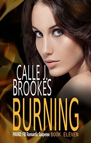Burning book cover