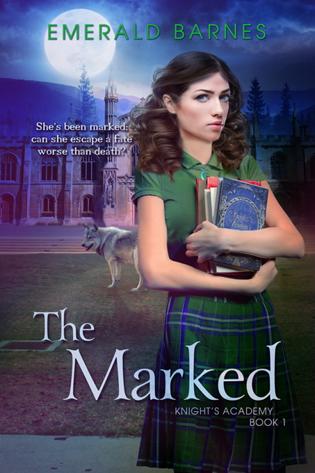 Knight's Academy book cover 1