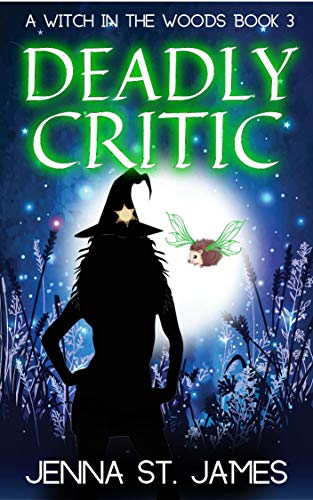 Witch in the Woods book cover 2