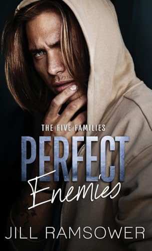 Perfect Enemies book cover