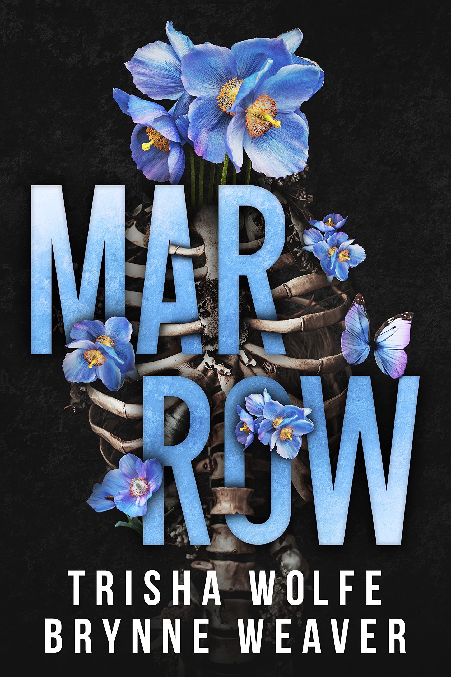 Marrow book cover