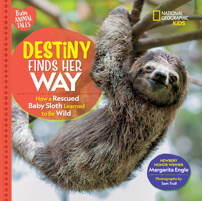 Destiny Finds Her Way book cover
