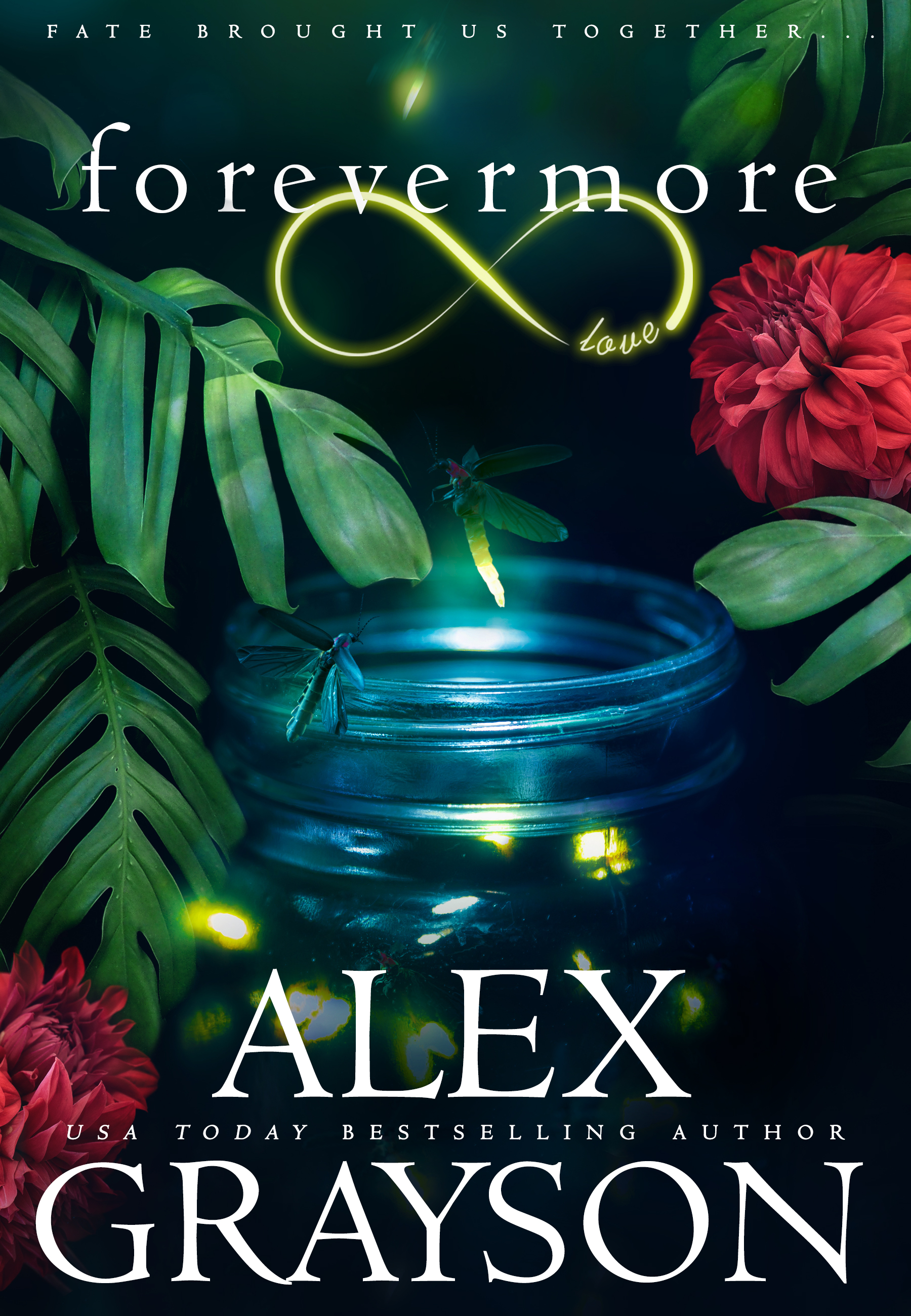 Ever book cover 1