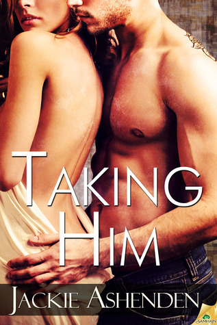 Lies We Tell book cover 1