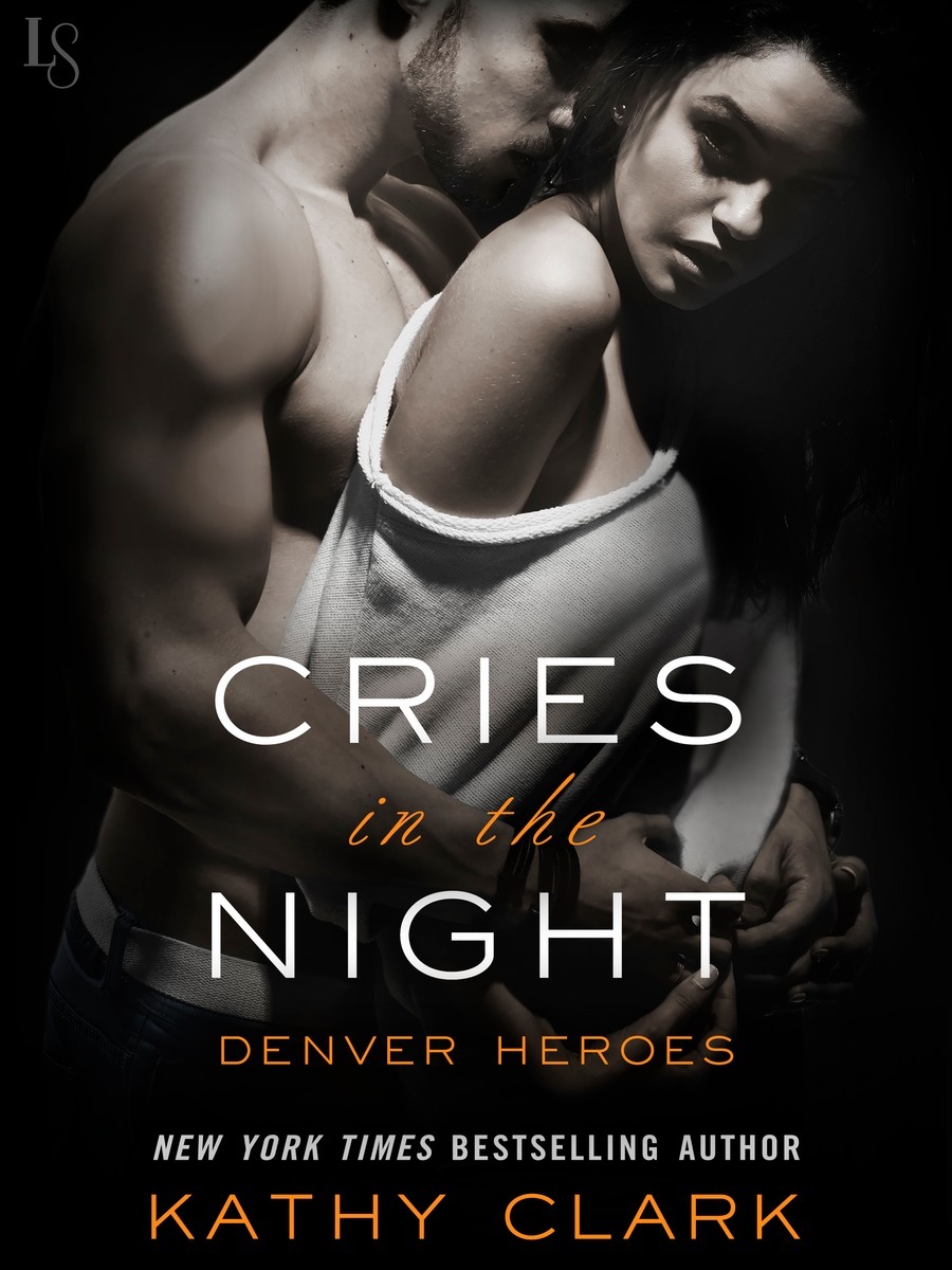 Denver Heroes book cover 2