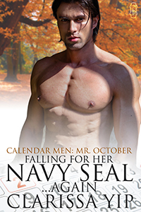 Falling for Her Navy SEAL…Again book cover