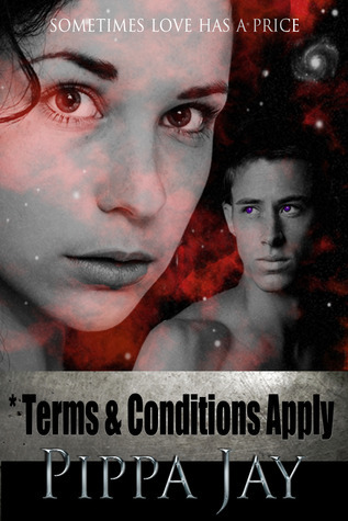 Terms & Conditions Apply book cover