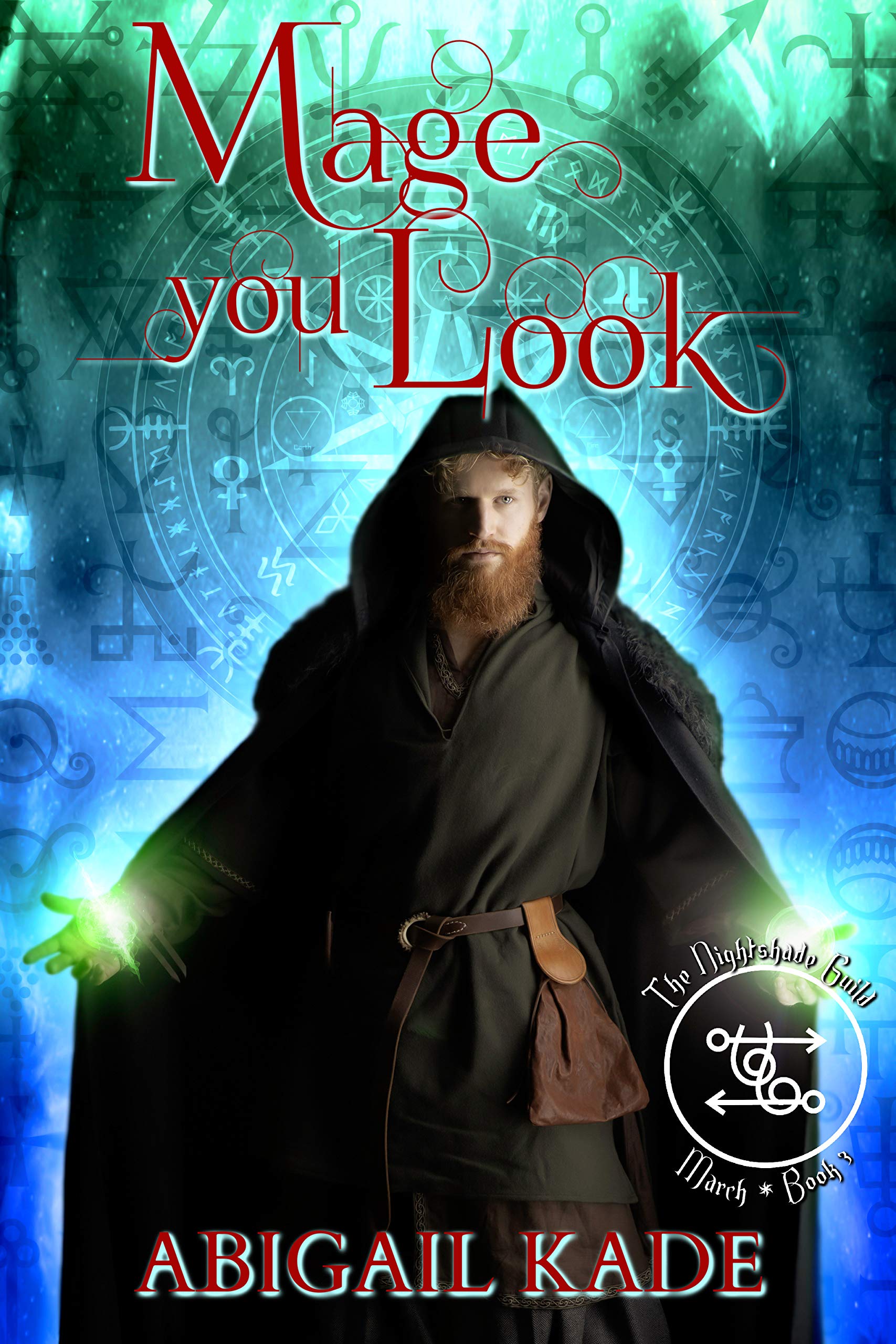 The Nightshade Guild book cover 2