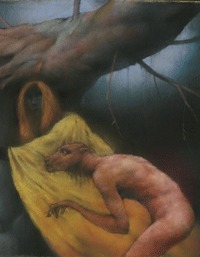 Some Unknown Gulf of Night book cover