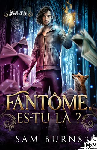 Fantôme, es-tu là ? book cover
