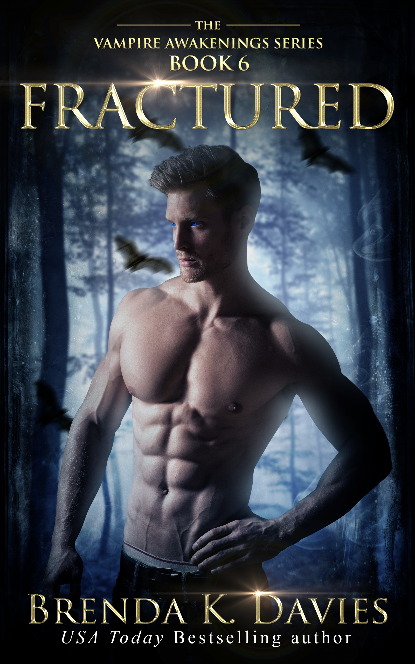 Fractured book cover