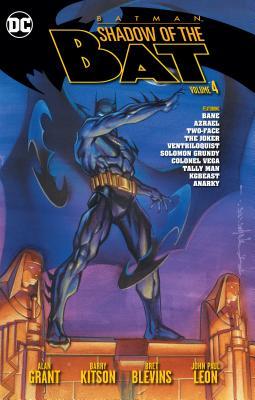 Batman book cover