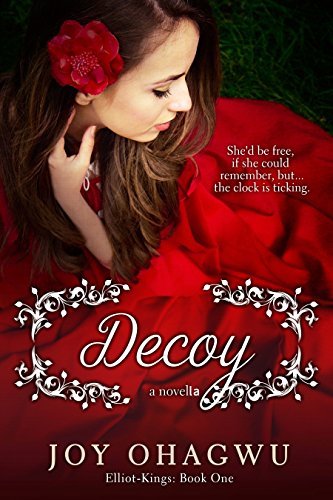 Decoy book cover