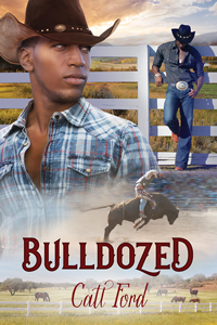 Bulldozed book cover
