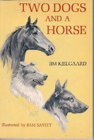 Two Dogs and a Horse book cover