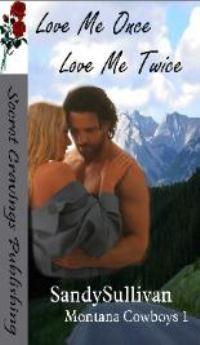 Montana Cowboys book cover 1