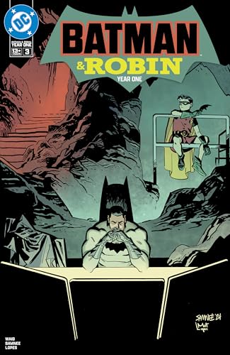 Batman & Robin book cover