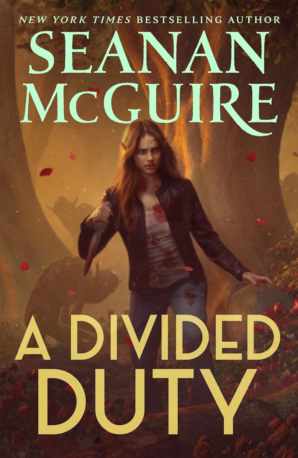 A Divided Duty book cover