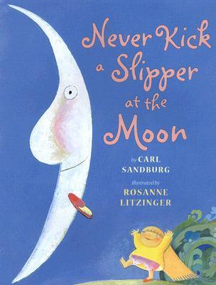 Never Kick a Slipper book cover