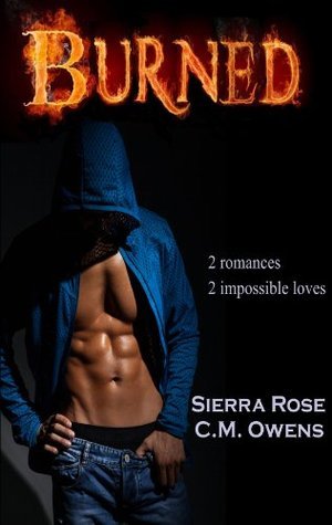Burned book cover