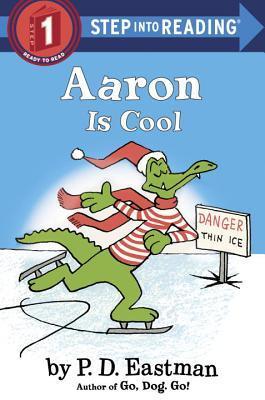 Aaron is Cool book cover