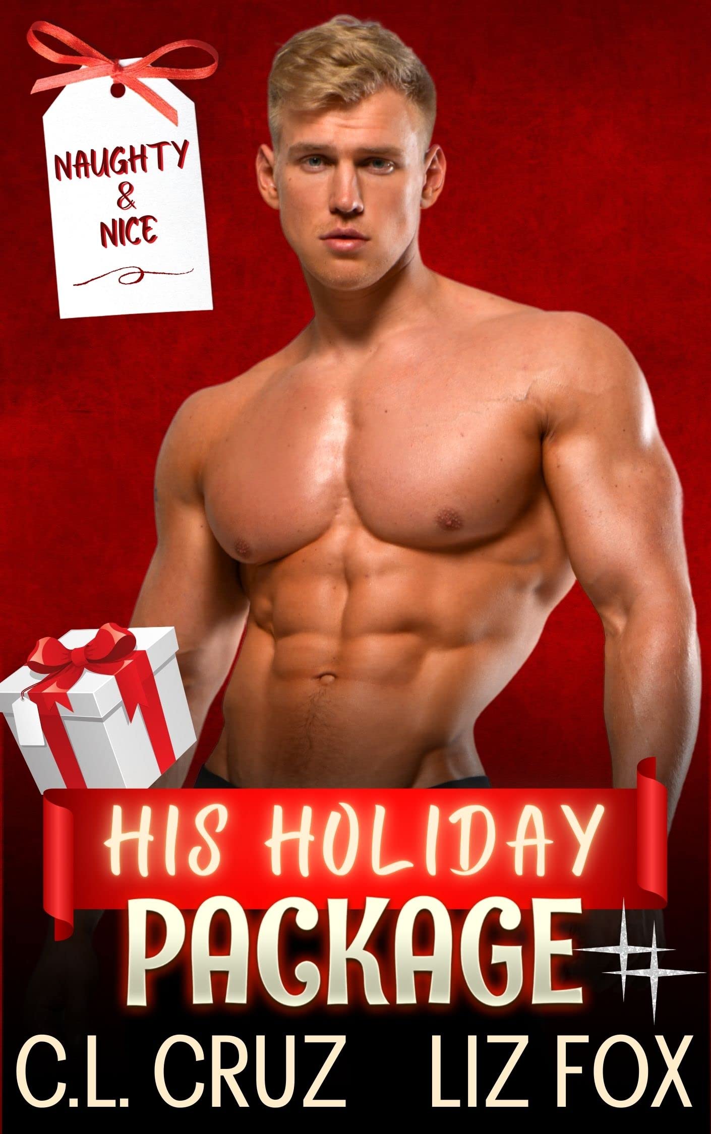 His Holiday Package book cover