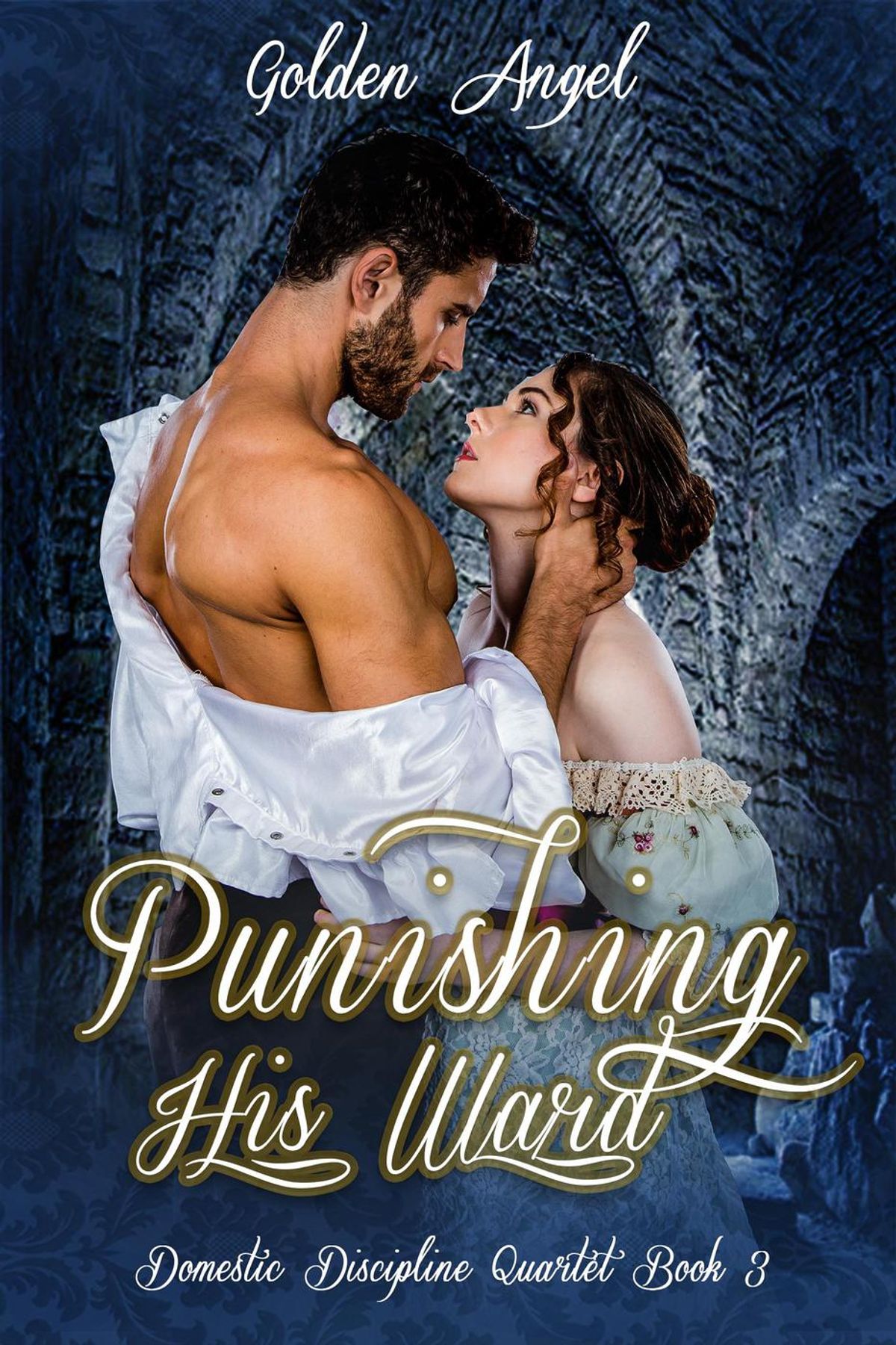 Domestic Discipline book cover 3