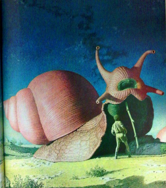 The Quest for Blank Claveringi book cover