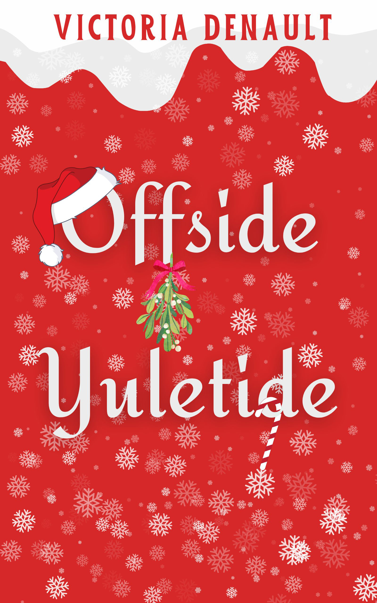 Comets Christmas book cover 1