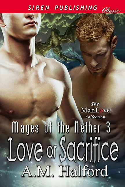 Mages of the Nether book cover 3