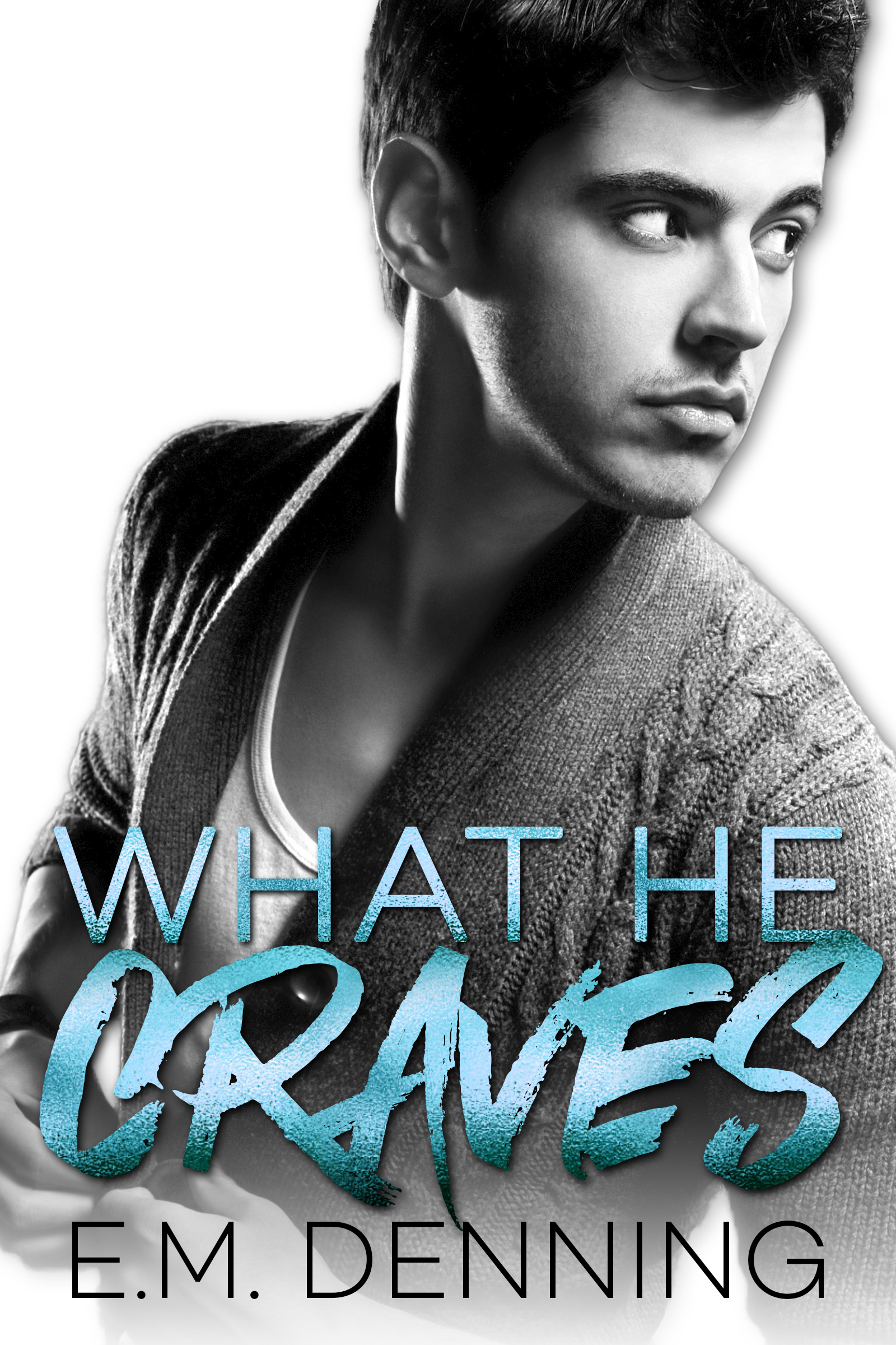 Desires book cover 2