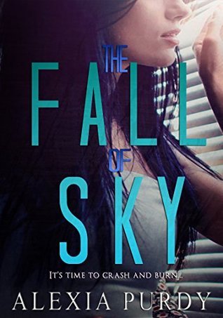 The Fall of Sky book cover