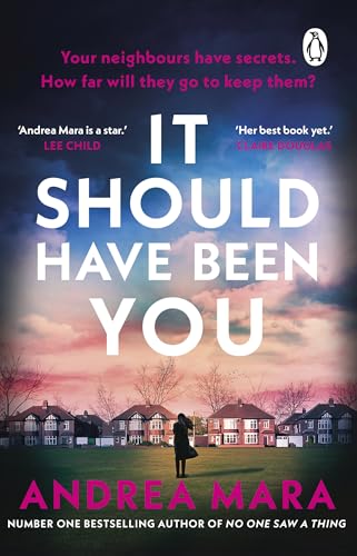 It should have been you book cover