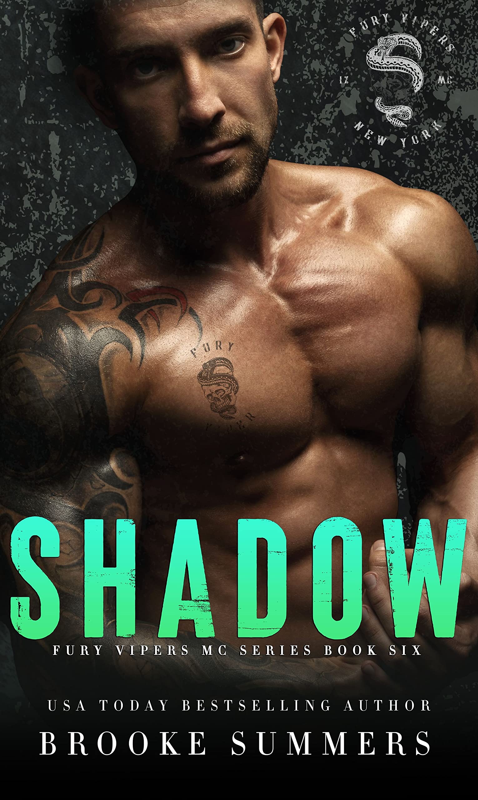 Shadow book cover