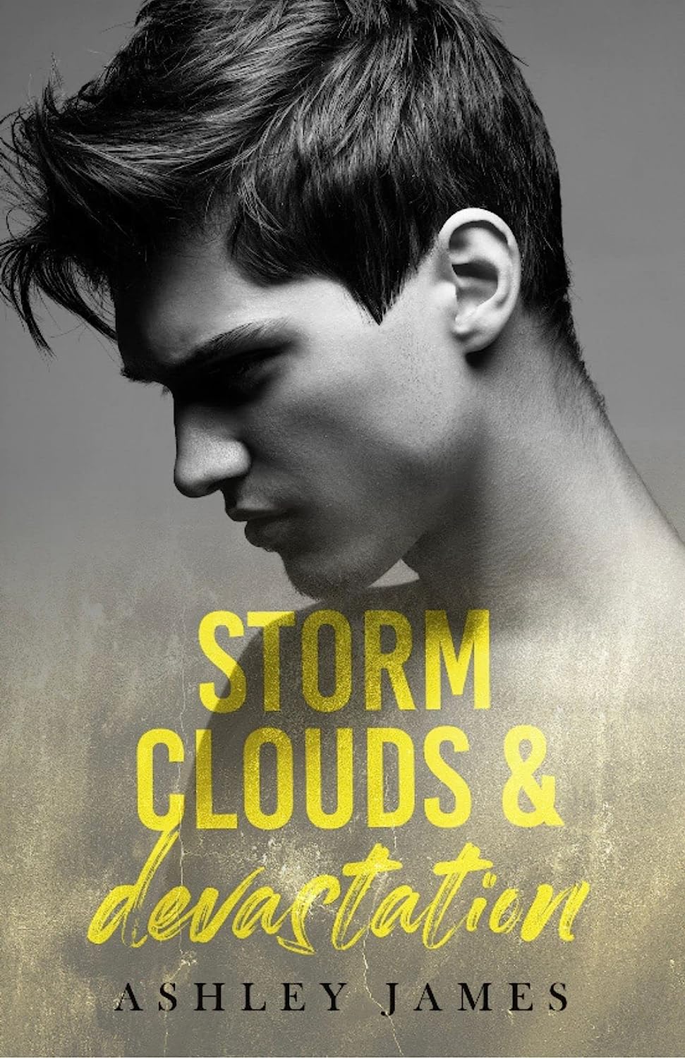 Hidden Affairs book cover 2