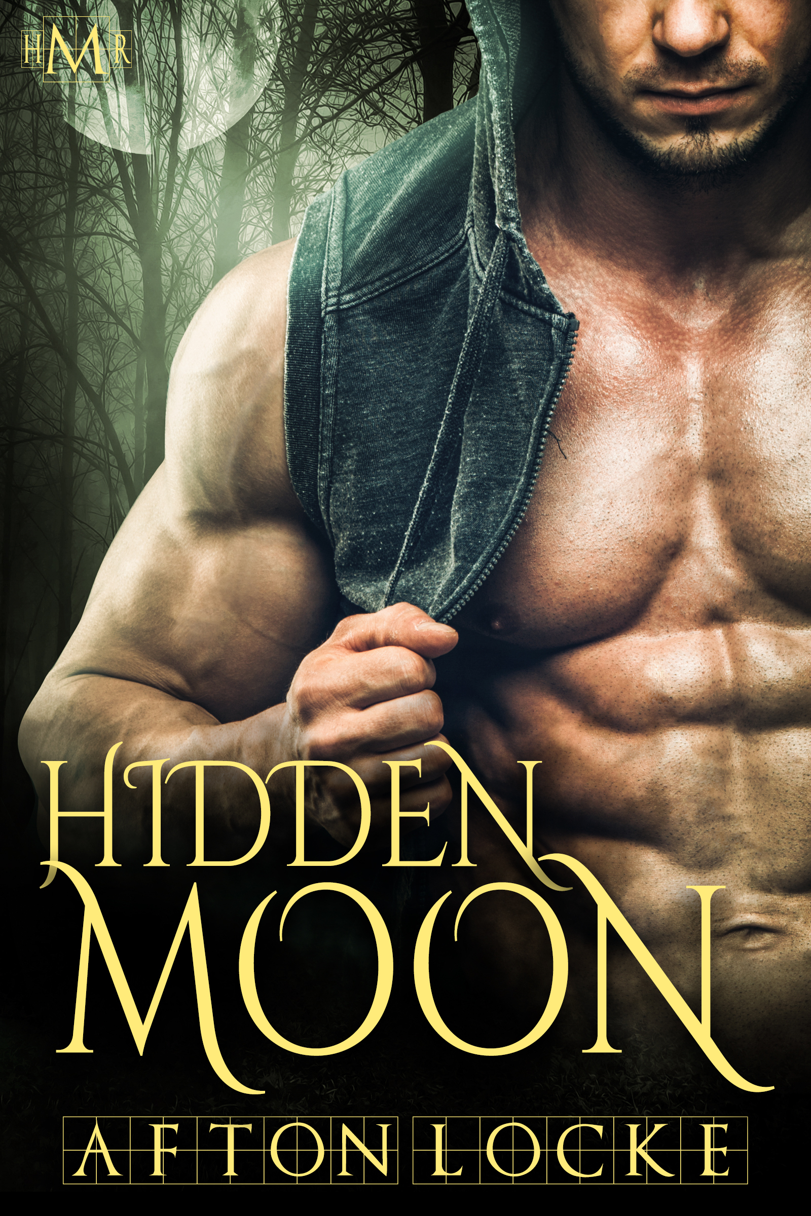 Hidden Moon book cover