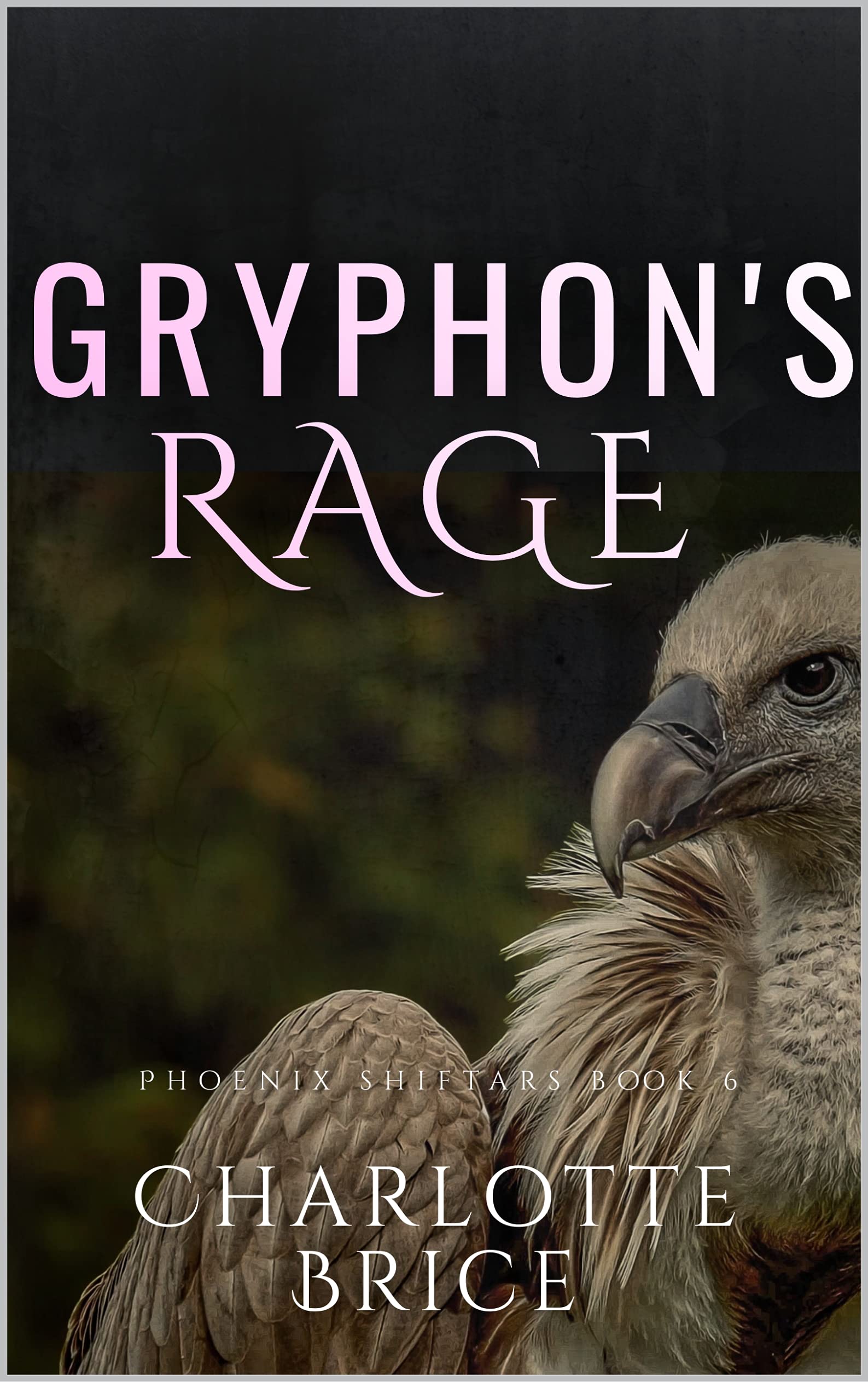 Gryphon's Rage book cover