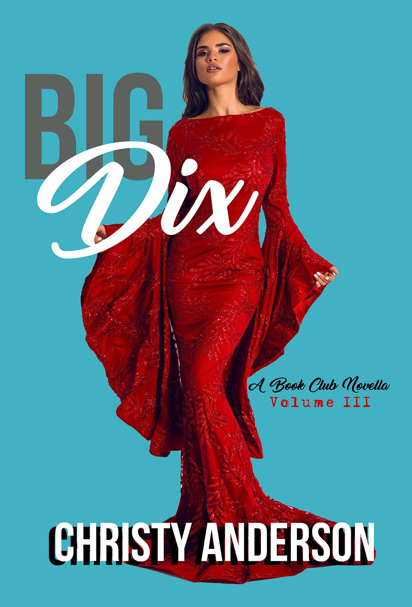 A Book Club Novella book cover 3