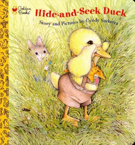Hide-and-Seek Duck book cover