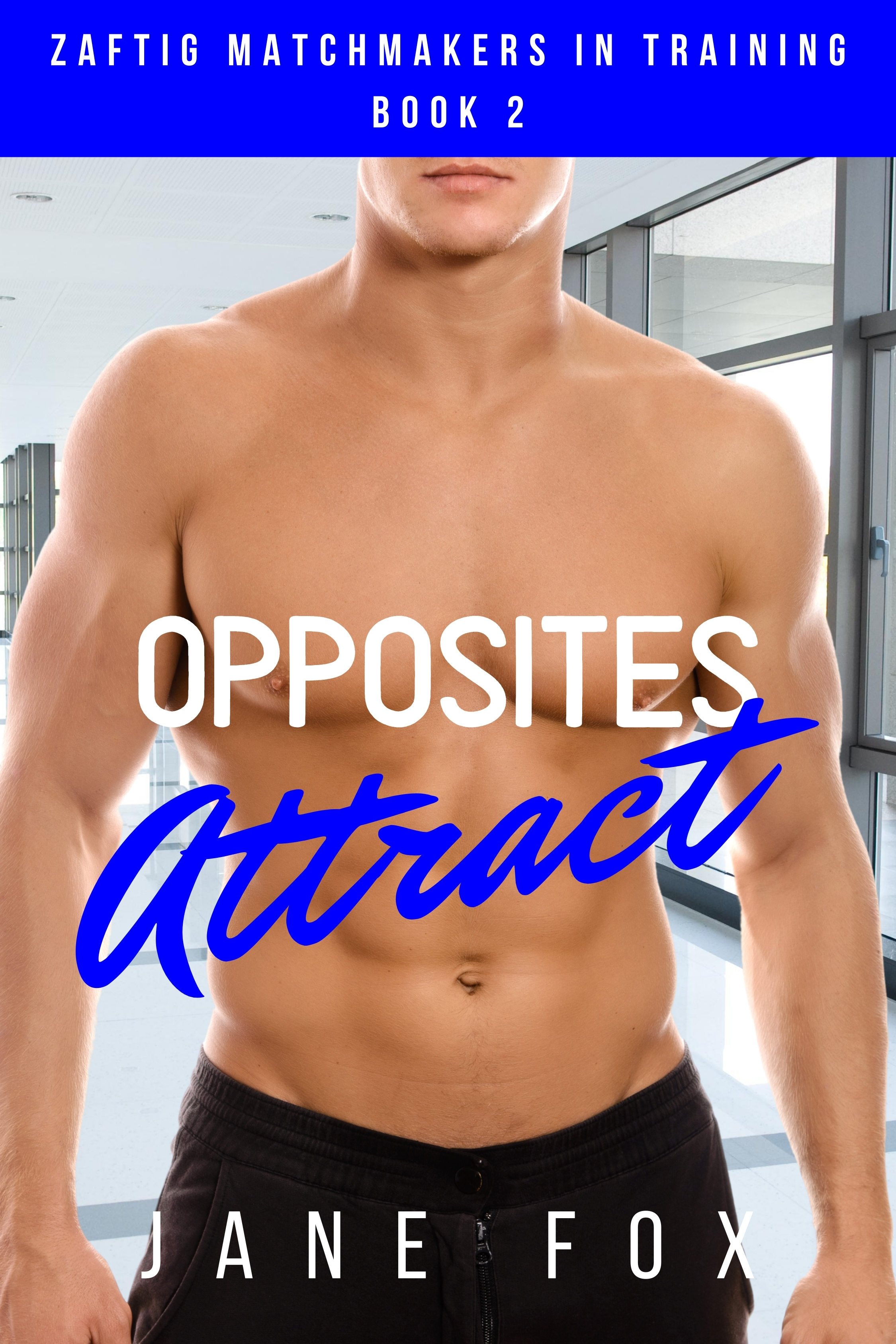 Opposites Attract book cover