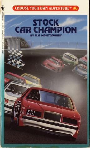 Stock Car Champion book cover