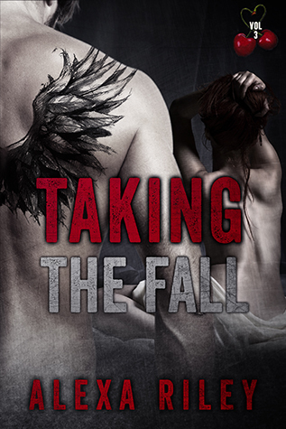 Taking the Fall book cover 3