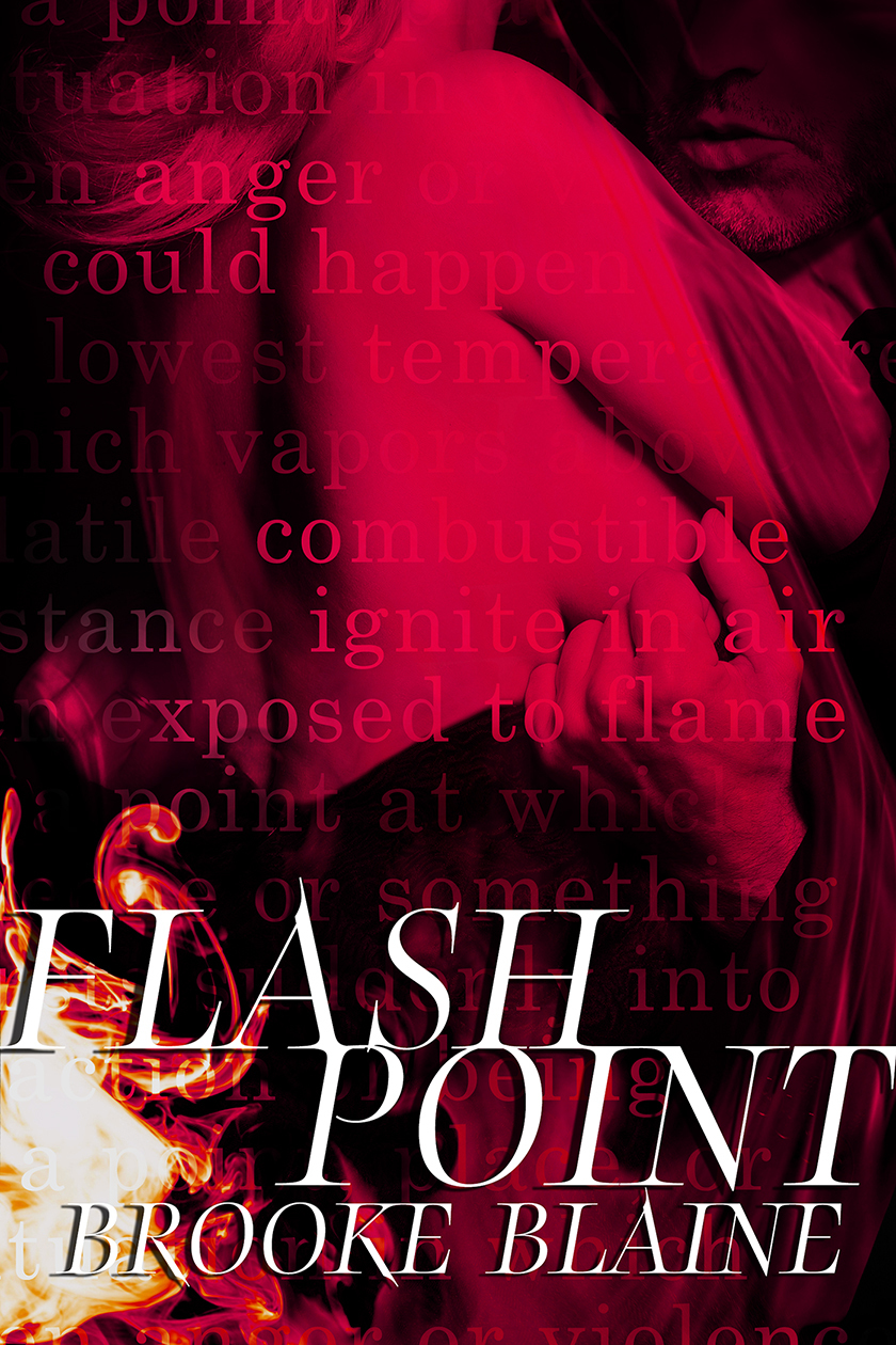 Flash Point book cover