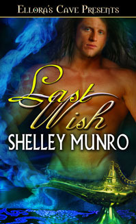 Last Wish book cover