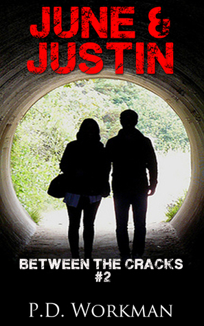 Between the Cracks book cover 2