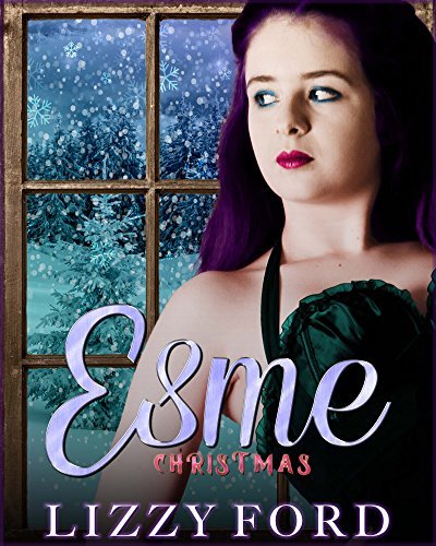 Christmas book cover