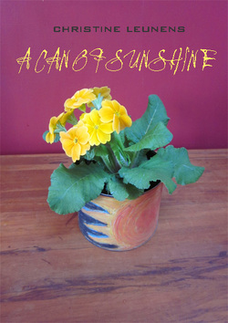 A Can of Sunshine book cover
