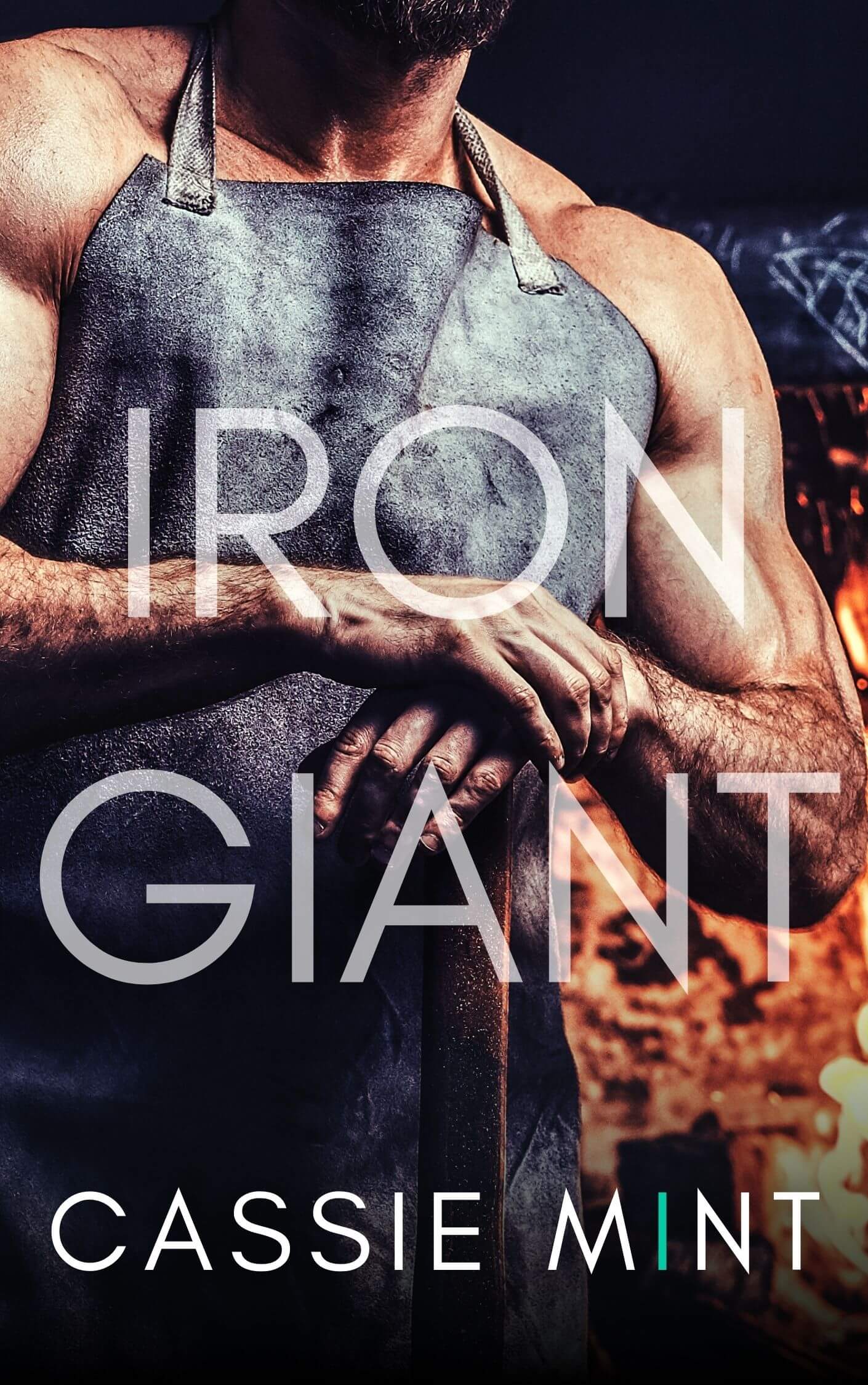 Iron Giant book cover