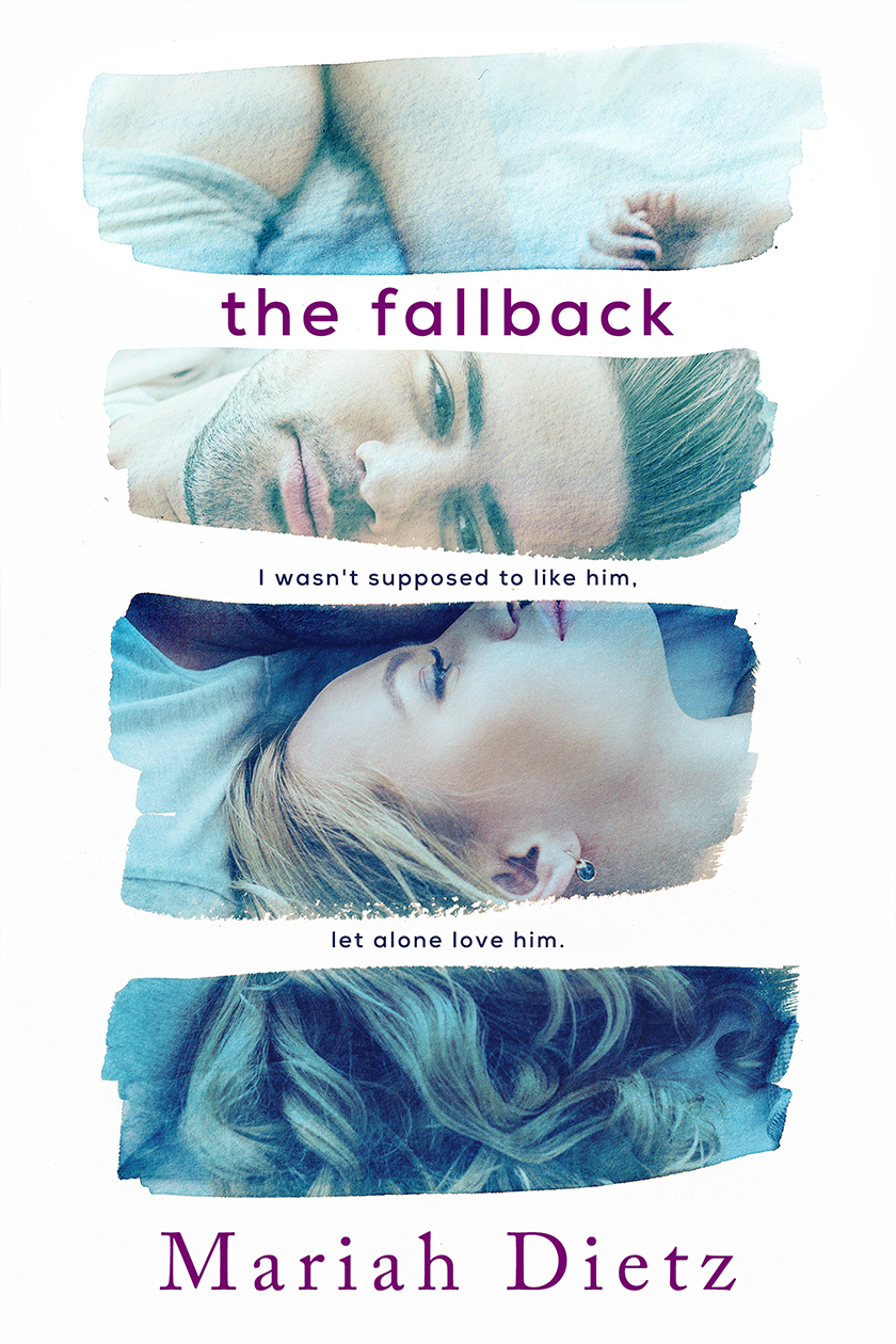 The Fallback book cover